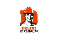 九游(中国)合作伙伴-德力西电气